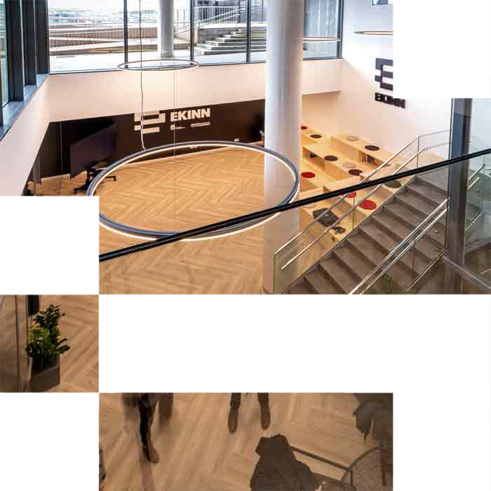 SOBRE SAN SEBASTIÁN